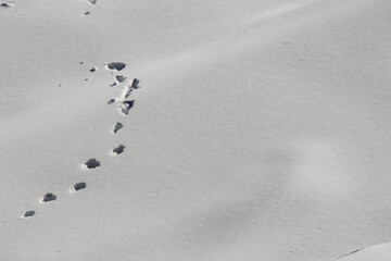 footprints  traced on snow footpath adventure pathway landscape