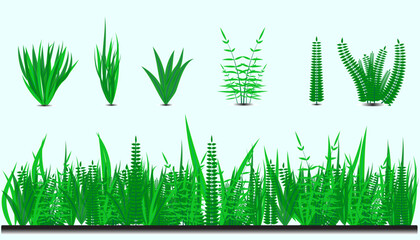 Green Grass set and Plants Spring and Summer Isolated White Vector Background