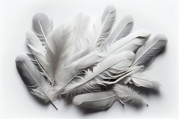 White albino bird feathers close-up on white isolated background, delicacy and softness, design background, copy space. Generative AI