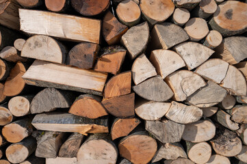 Fraxinus excelsior, known as the ash, or European ash, Firewood folded to dry in the yard.
