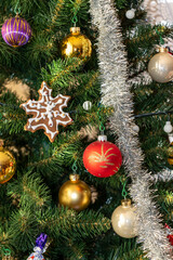 Closeup decorated Christmas tree. holiday season background. Merry christmas