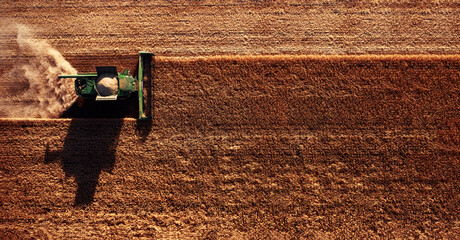 Harvester works in the field. Combine Harvesting Wheat, top view of a wheatfield. Field field of...
