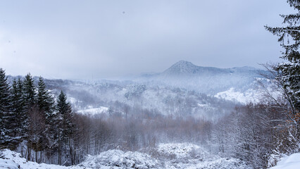 snow covered mountains