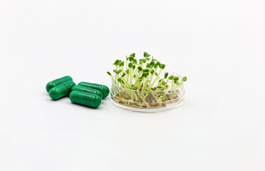 A recycled paper cup with germinated seeds, next to pills or medicines. Concept of traditional...