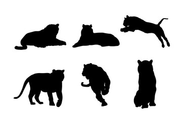Set of silhouettes of tigers vector design