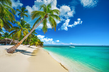 Tropical island beach shore with exotic palm trees, clear water of caribbean sea and white sand....