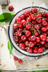 Ripe and juicy sweet cherries in summer garden.
