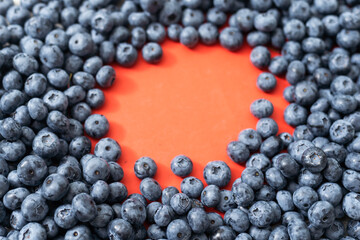 large blueberry on a red background