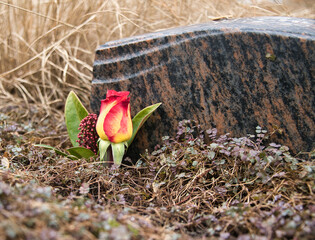 eine einzelne Rose neben einem Grabstein auf einem Friedhof in Velbert