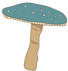 Frog and mushroom , Cute frog with mushrooms , leopard frog and mushrooms , Green Frog with Mushroom