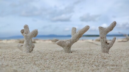 background beach