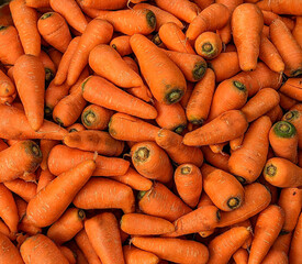 Many carrots are on sale in the market