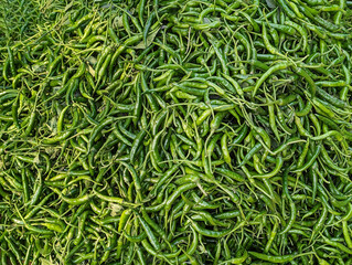 Close up of green chilies and used as one of the main spices in cooking. A lot of fresh unripe peppers stacked in a street shop for sale.