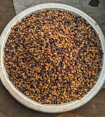 Lots of green Hyacinth bean seeds Indian or Egyptian kidney beans a special winter green vegetable from India