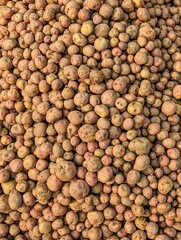Closeup Red small potatoes on a market