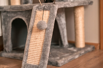 Scratching post for cats in apartment interior. Activity for a domestic pet.