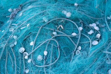 Blue Fishing Net