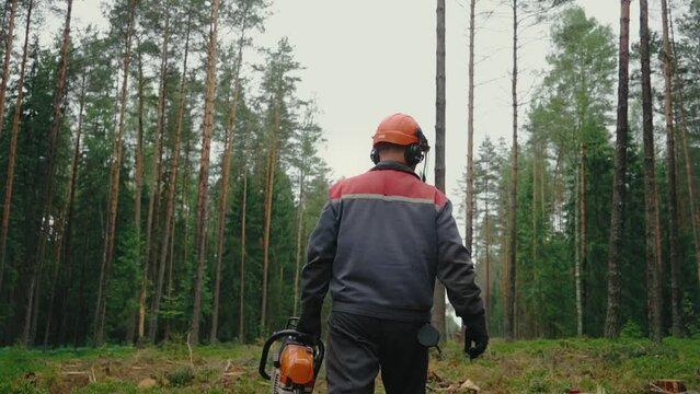 Backside view of an axeman walking among the trees