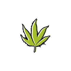 cannabis leaf vector for your company