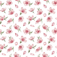 Watercolor floral seamless pattern – Sakura, Cherry blossom, spring flowers, wedding design.