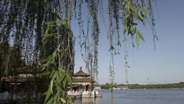 Natural scenery of Beihai Park in Beijing: