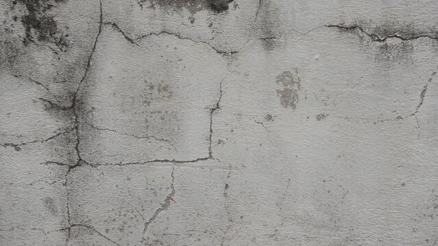 Small cracks on old cement surface with mold on surface