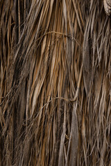 eco friendly background of palm leaves. boho style.