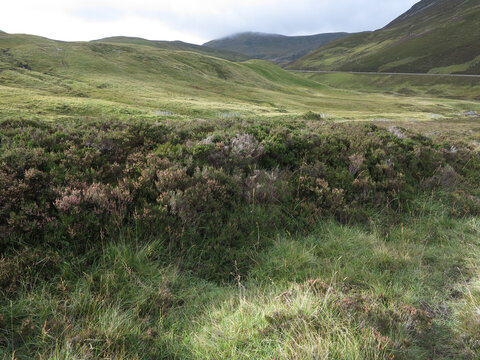 Glenshee Ski Centre - Cairngorms - Aberdeenshire - Scotland - UK