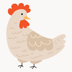 Chickens set vector illustration in Color. Brown and white Hen and Rooster. Male and female chickens set
