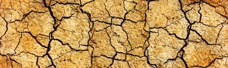 Drought Concept. Close-up panoramic shot of an arid land land.