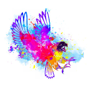 Watercolor eagle, Abstract eagle, Colorful eagle, eagle Illustration, eagle Drawing, eagle, US National Bird, Falcon