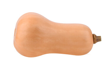 Butter nut squash transparent png