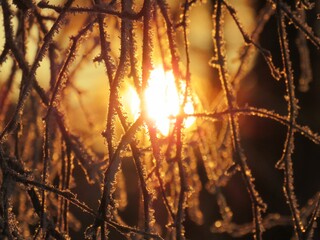 Sonnenaufgang im Winter