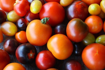 Nahaufnahme als Hintergrund von einem Sortiment an Tomaten