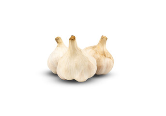 Set of white garlic isolated