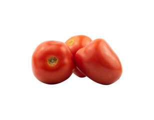 tomato isolated for design element