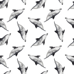 watercolor dolphin pattern cute ocean animal. Watercolor cute dolphin pattern. Hand painting postcard with dolphin isolated white background. Ocean animals.