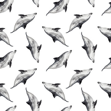 watercolor dolphin pattern cute ocean animal. Watercolor cute dolphin pattern. Hand painting postcard with dolphin isolated white background. Ocean animals.