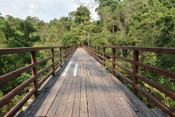 Fototapeta na wymiar wooden bridge cross little canal in mangrove forest