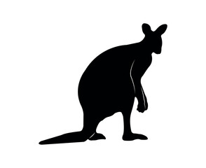 Vector flat kangaroo silhouette isolated on white background