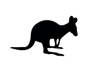 Vector flat kangaroo silhouette isolated on white background