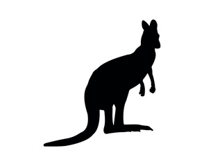 Vector flat kangaroo silhouette isolated on white background