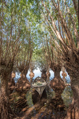 View of lake isikli of denizli province with boat trees and reflection at sunset with clouds on blue sky