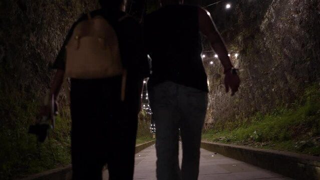 couple with holding hands walking in the park
