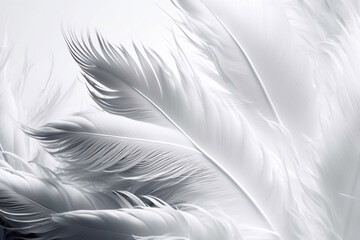 Beautiful Line White Feather Wool Pattern Texture Background. Generative AI