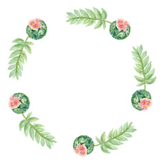 Boho Horns bull and deer with sucuulents cactus plants isolated elements transparent background