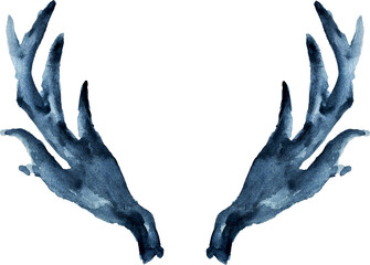 Boho Horns bull and deer with sucuulents cactus plants isolated elements transparent background