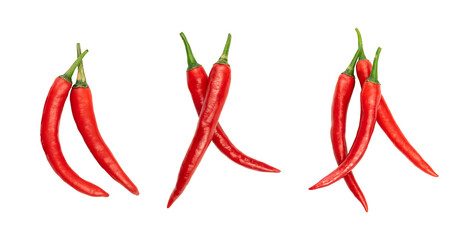 Group of chili isolated for design element