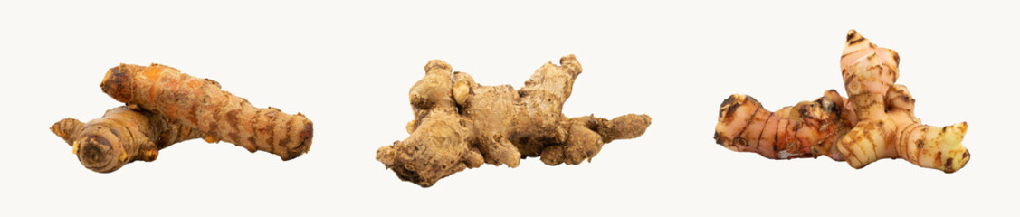 Set of Herbal root isolated