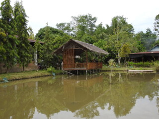 Fototapeta na wymiar Wooden house in the middle of the pond